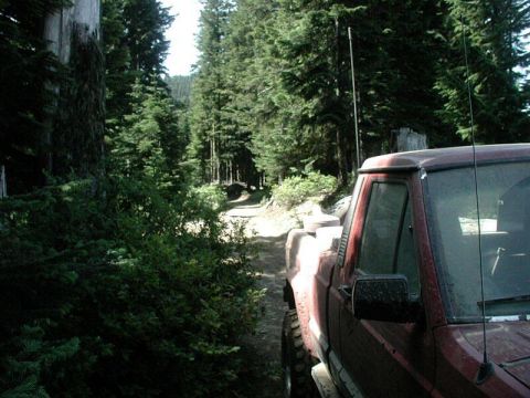 1985 Ford Bronco - Looking back on the trail.