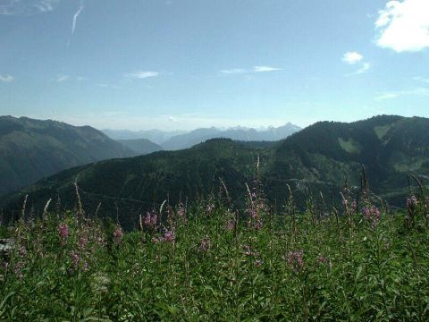 1985 Ford Bronco - A scenic mountain landscape under a partly cloudy sky, with a foreground of green foliage and pink wildflowers.