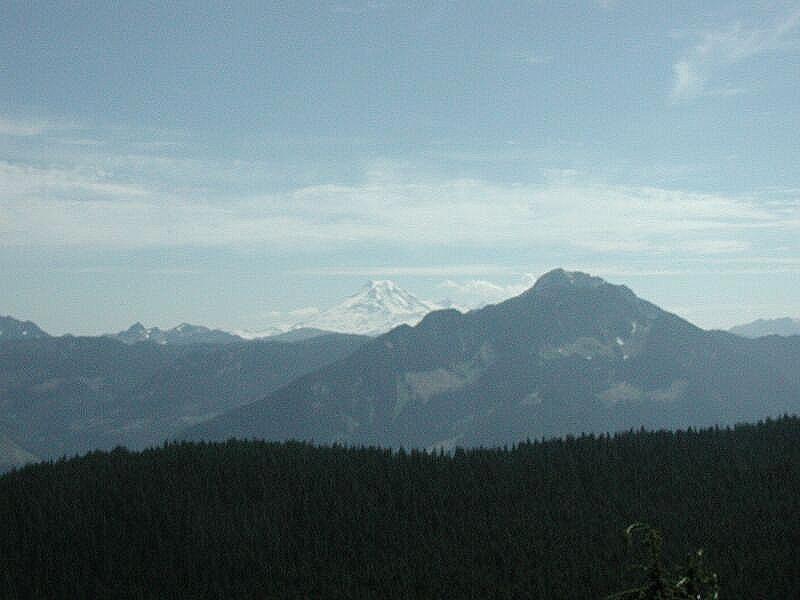 Mountain landscape with forest and snow-capped peak