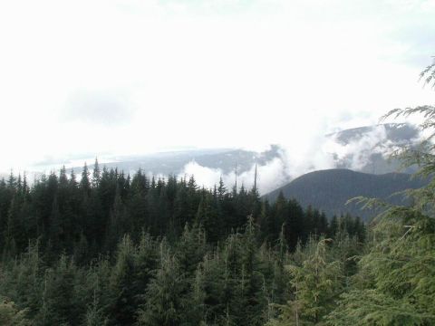 1985 Ford Bronco - A misty mountain landscape with a dense forest in the foreground and clouds obscuring the distant mountains.