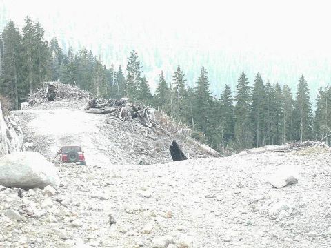 1985 Ford Bronco - This was the highest point today, 3700'.