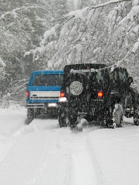 1985 Ford Bronco - Waiting for Dennis and Chris P. to get some fallen trees out of the way.