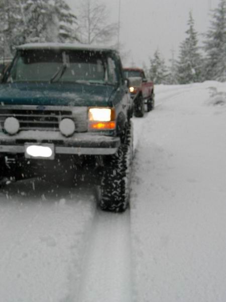 1985 Ford Bronco - Patiently waiting.