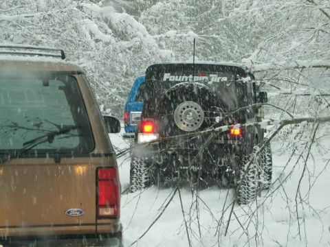 1985 Ford Bronco - More fallen trees.