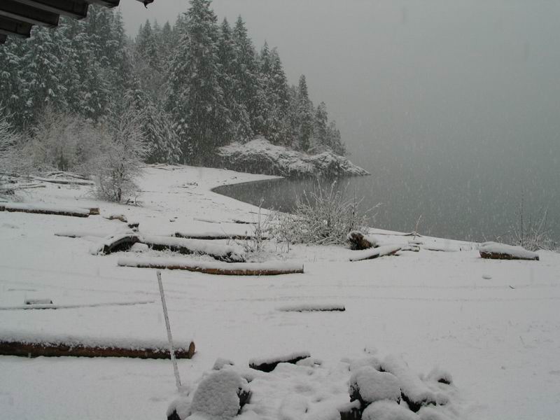 Hale Creek recreation site.