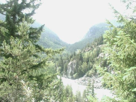 1985 Ford Bronco - A scenic view of a river flowing through a valley surrounded by lush green pine trees and mountains.