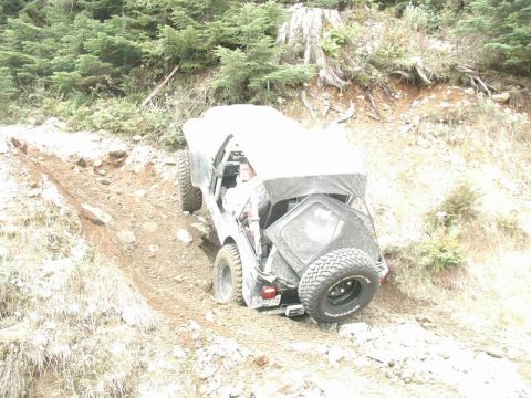 1985 Ford Bronco - And trying.....