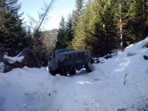 1985 Ford Bronco - One of the larger wash-outs.