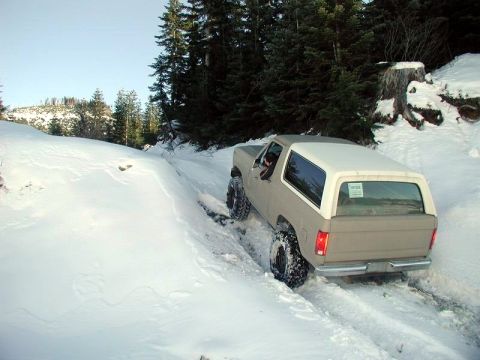 1985 Ford Bronco - Ok, here's where it gets ugly.....