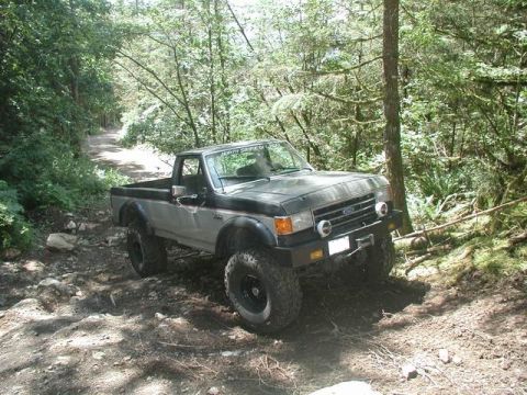 1985 Ford Bronco - No problem.