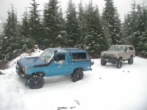 1985 Ford Bronco - November 2005