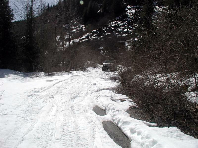 1985 Ford Bronco driving on a snowy dirt road in a wooded mountain area.