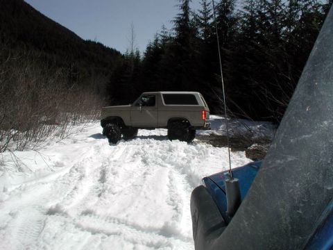 1985 Ford Bronco - A tan 1985 Ford Bronco is driving through a snowy, wooded area. The vehicle has large, aggressive tires and is leaving tracks in the snow.