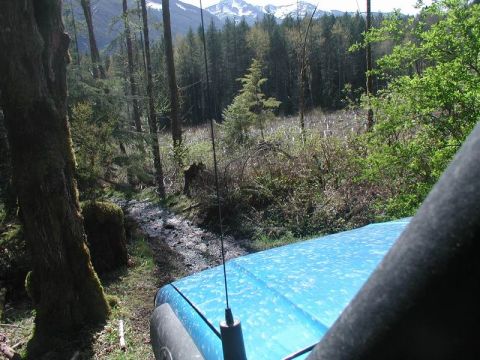 1985 Ford Bronco - Side road off the Chilliwack Bench FSR.