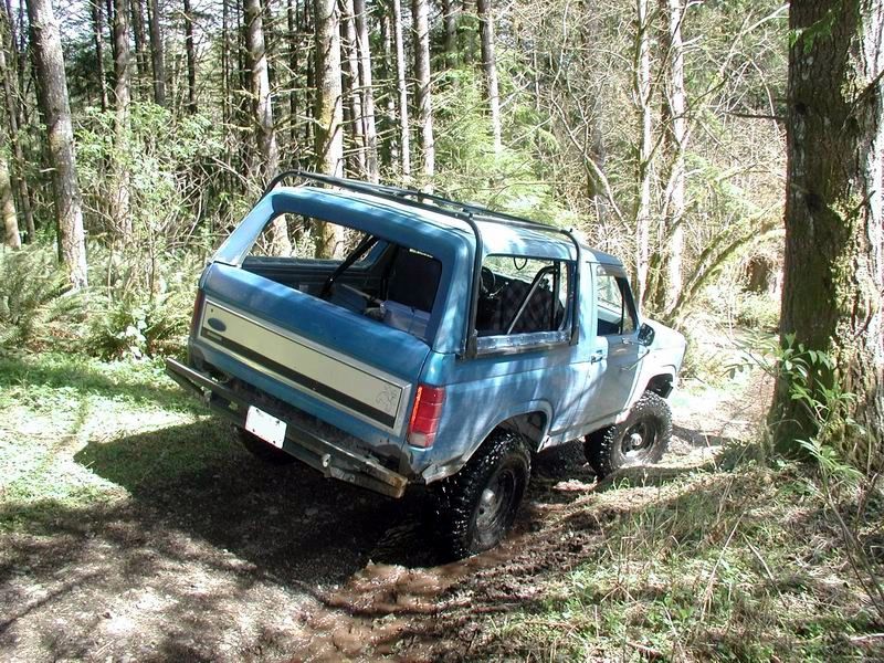 Side road off the Chilliwack Bench FSR.