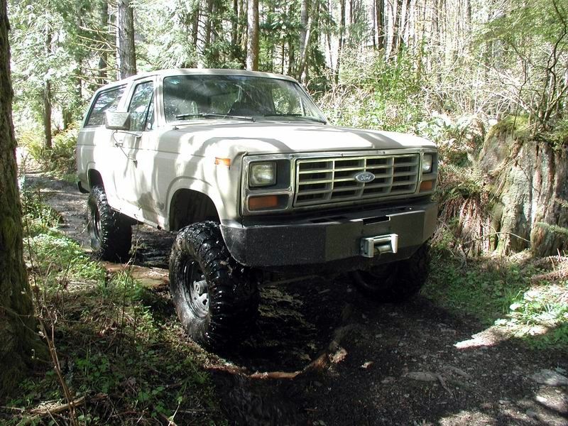 Side road off the Chilliwack Bench FSR.