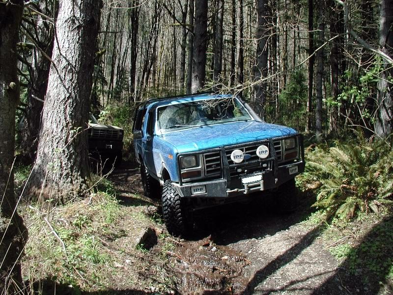 Side road off the Chilliwack Bench FSR.