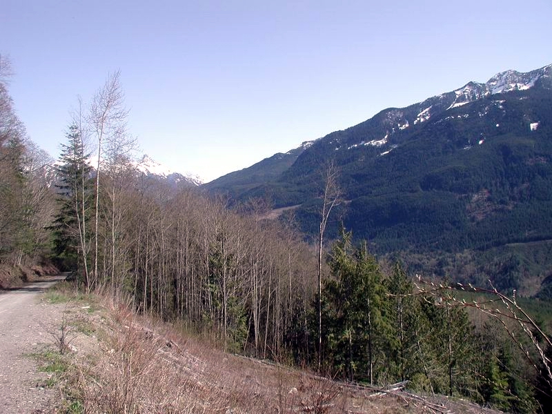 View from the Chilliwack Bench FSR.