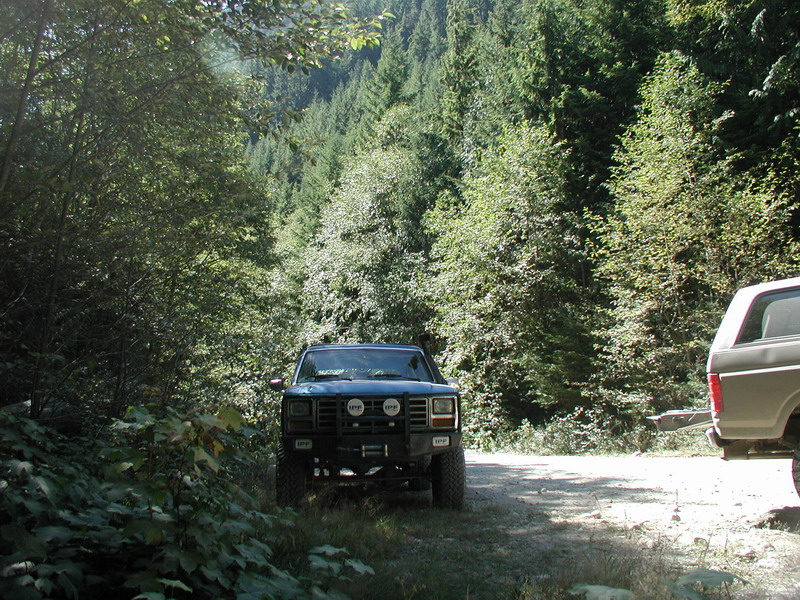 Blue waiting to hit the trail.