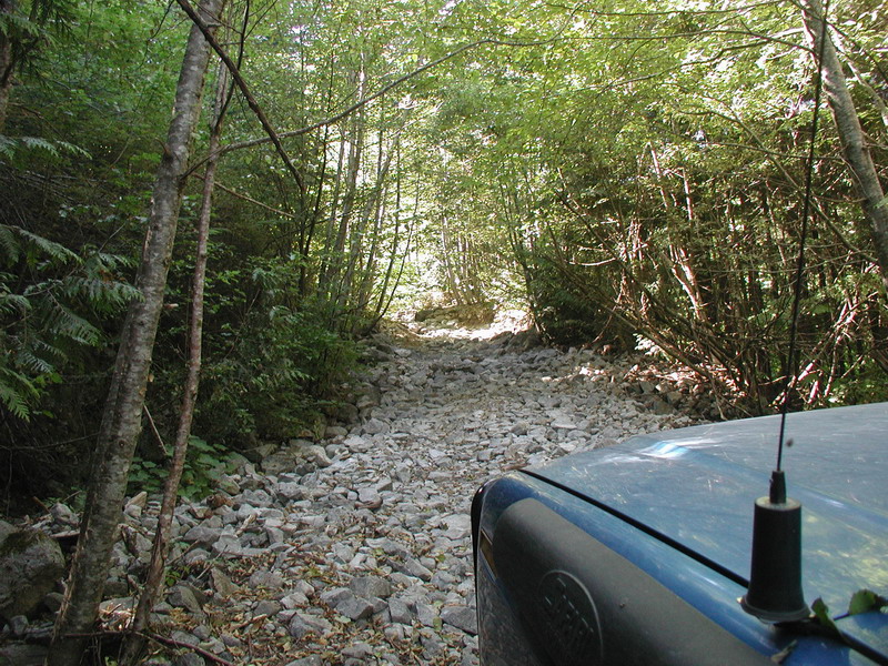 Further up the trail.....front view.