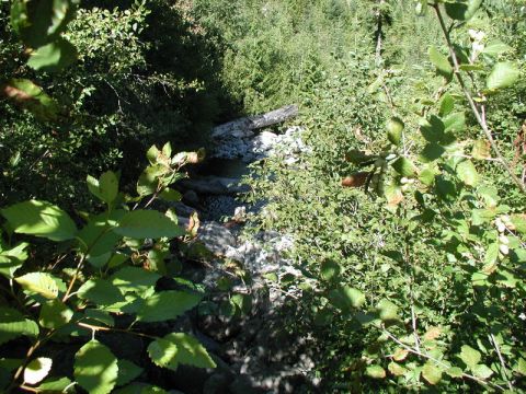 1985 Ford Bronco - Looking down the creek that runs out of Wilson Lake.