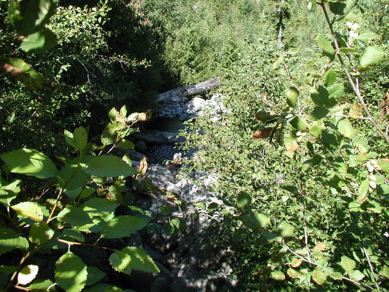 Looking down the creek that runs out of Wilson Lake.