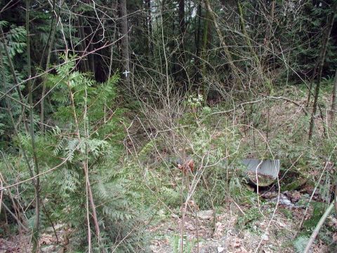 1985 Ford Bronco - I believe this is where the accident occured.