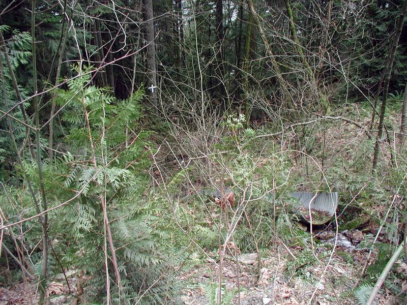 I believe this is where the accident occured.