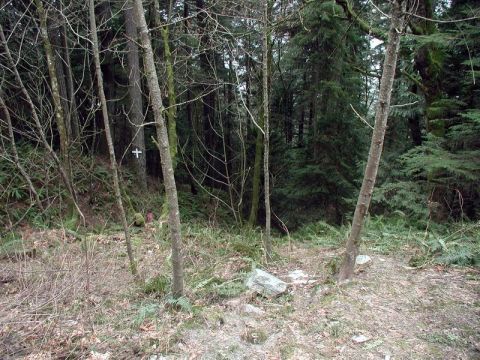 1985 Ford Bronco - This appears to be the path that Search & Rescue used to recover his vehicle.