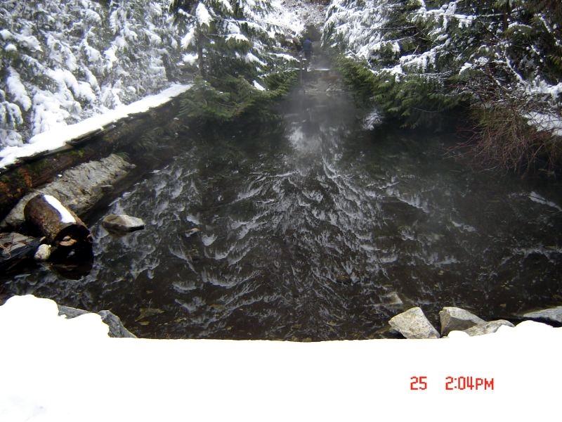 Welcome to the Clear Creek Hotsprings.