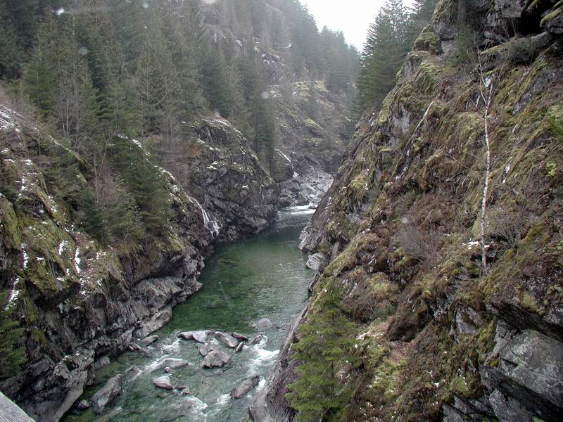 Looking up Big Silver Creek.
