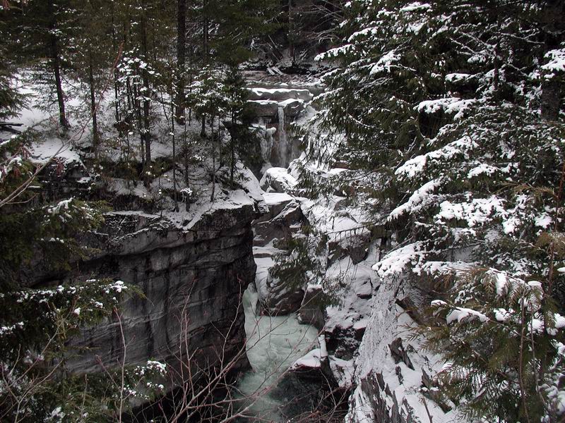 Big Silver Creek at the Kookipi Creek junction..