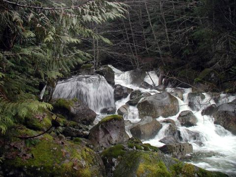 1985 Ford Bronco - A waterfall cascades over moss-covered rocks in a dense, evergreen forest.