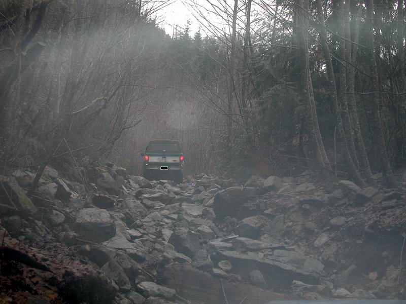 Rear view of a dark SUV on a rocky forest road.