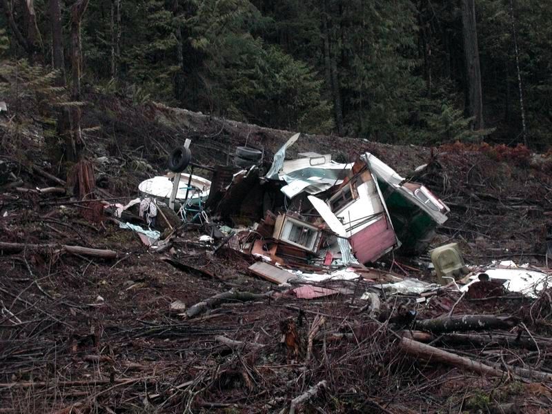 A destroyed trailer home and debris are scattered across a wooded hillside.
