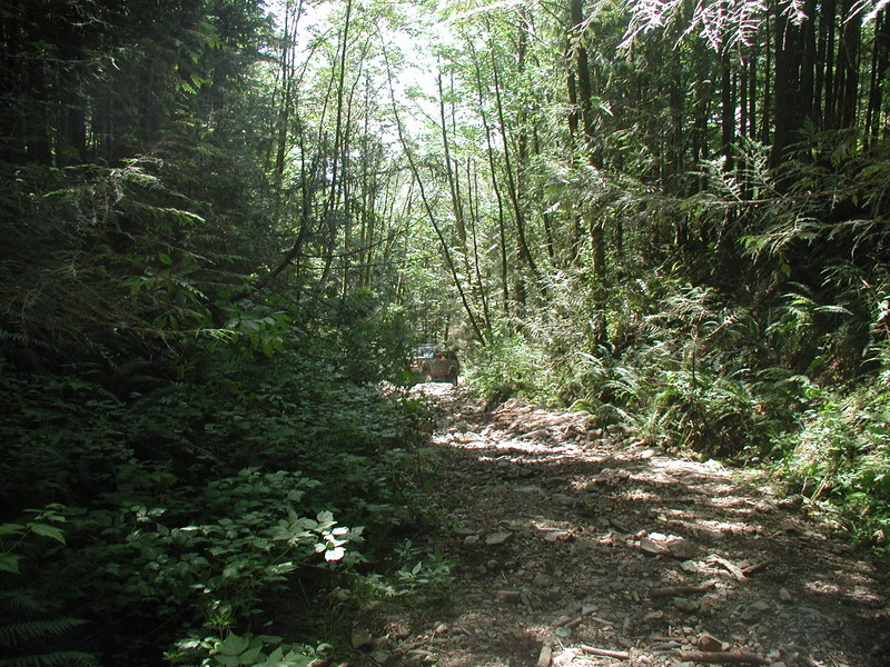 White 1985 Ford Bronco on a rocky trail in a forest.