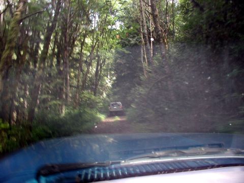 1985 Ford Bronco - Further up the trail.