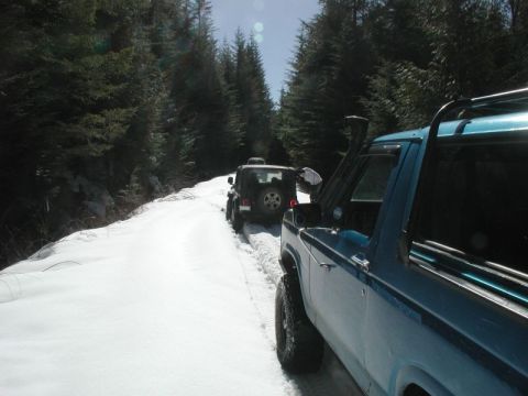 1985 Ford Bronco - After turning around, he got stuck again.