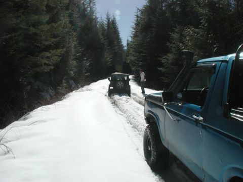 1985 Ford Bronco - Pete was called to back up and give him a tug.