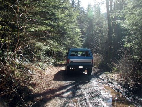 1985 Ford Bronco - Time to run back and try and get some action shots.