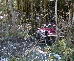 1985 Ford Bronco - A red all-terrain vehicle is parked on a wooded trail, partially obscured by tree branches. The ATV has a roll cage and visible headlights.
