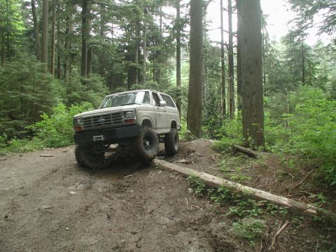 1985 Ford Bronco - Doug's turn.