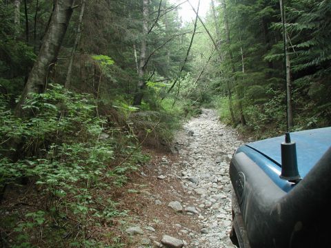 1985 Ford Bronco - Further up the hard line.