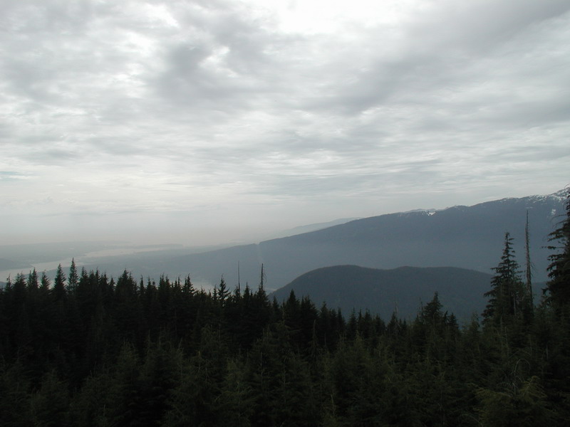 The look-out; looking South-West.