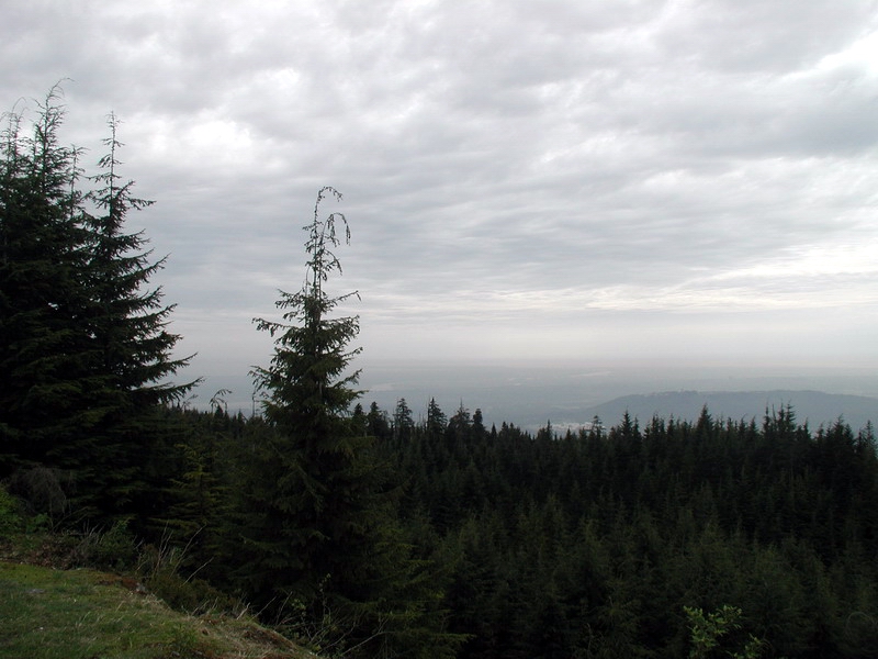 The look-out; looking South-East.