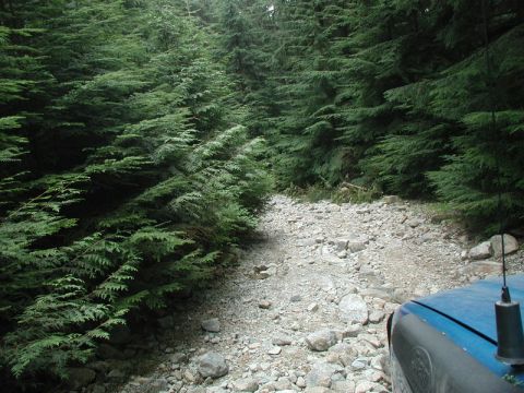 1985 Ford Bronco - Heading down the easy line.