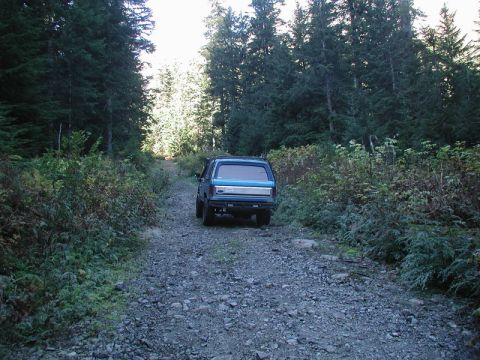 1985 Ford Bronco - A blue Ford Bronco is parked on a gravel road surrounded by dense forest. The vehicle is viewed from the rear, facing away from the camera…