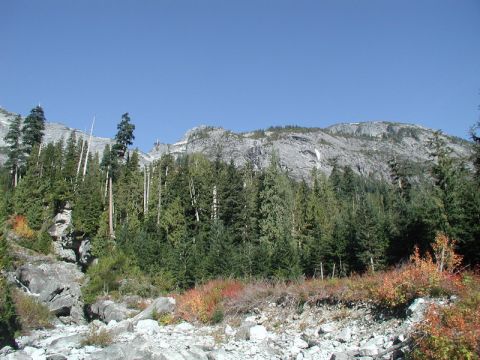 1985 Ford Bronco - A wide shot of a rocky mountainside covered in evergreen trees and sparse autumn foliage under a clear blue sky.