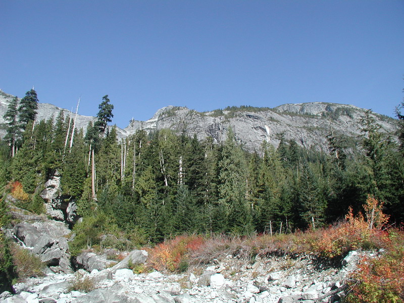 Rocky mountainside with evergreen trees and autumn foliage.