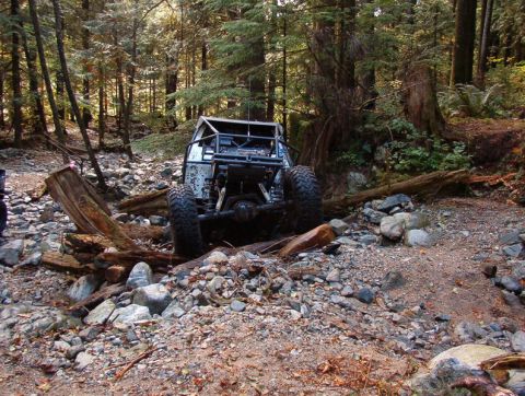 1985 Ford Bronco - A custom off-road buggy, likely a modified 1985 Ford Bronco, is navigating a rocky, wooded trail with large logs.